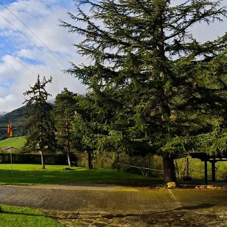 El Nial De Los Pinos 오헤도 외부 사진